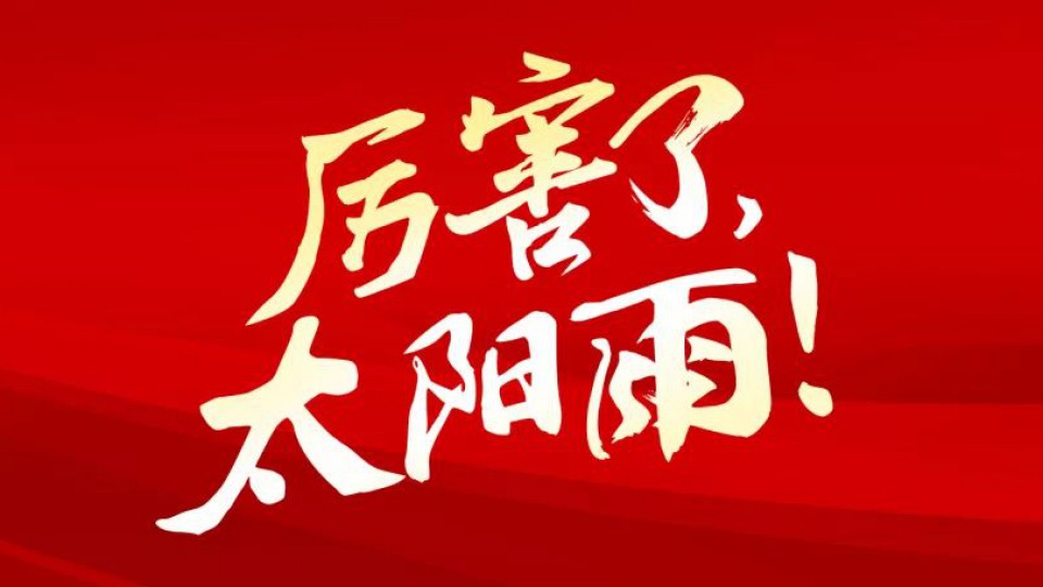 等了6年，它終于從清華大學回到了太陽雨。